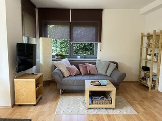 Sofa, TV, Bücherregal