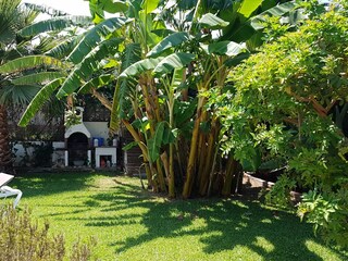 Vakantiehuis Benajarafe Buitenaudio-opname 7
