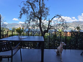 Balkon mit Seeblick