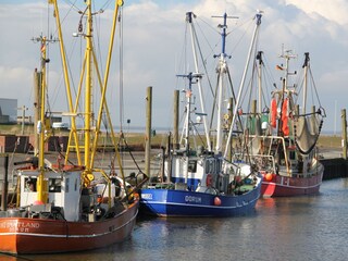 Krabbenkutter im Hafen