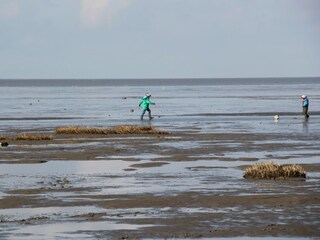 Nationalpark Wattenmeer