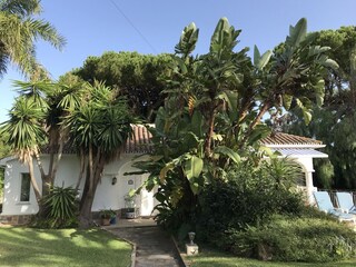 Tenuta Elviria Ambiente 39