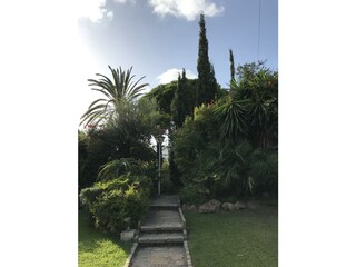 Finca Elviria Environment 39