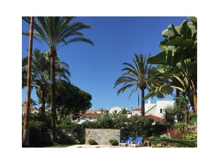 Finca Elviria Buitenaudio-opname 11