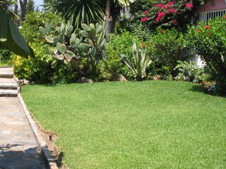 Tenuta Elviria Ambiente 35