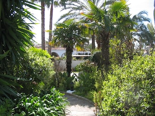Gartenansicht vom Gartentor