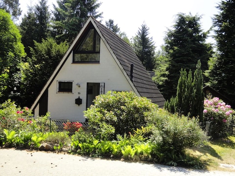 Ferienhaus Holunder