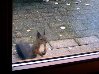 Besuch von Freunden ...