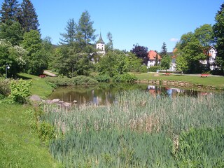 Spa park Lenzkirch