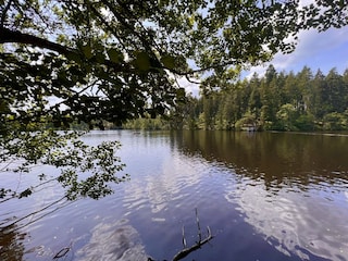 Schlüchtsee