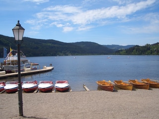 Blick über den Titisee