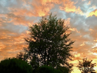 Abendstimmung im Garten