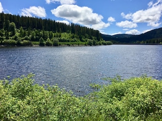 Schluchsee