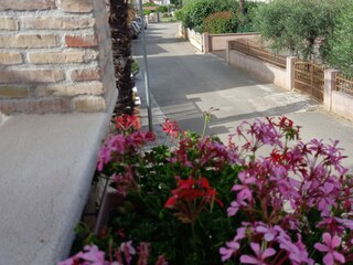 Casa per le vacanze Porec Registrazione all'aperto 6