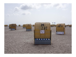 Strandkorb der Inselblume 45