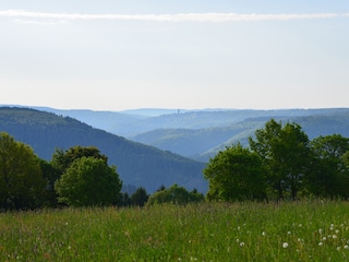 Blick in den Nationpark Eifel