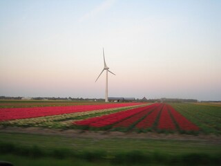 Vakantieappartement Petten Omgeving 10