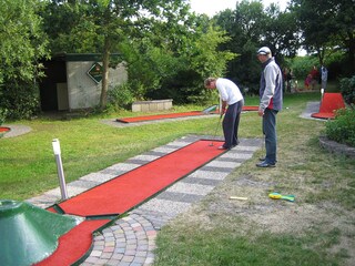Holiday apartment Petten Environment 13