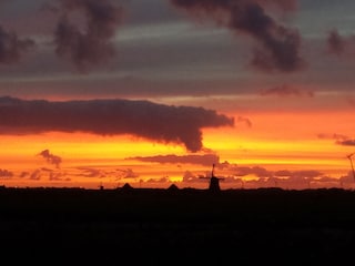 Ferienwohnung Petten Umgebung 20
