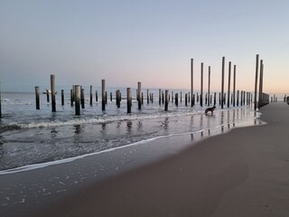 Holiday apartment Petten  14