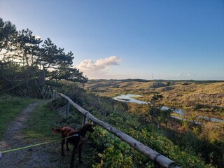 Holiday apartment Petten Environment 21