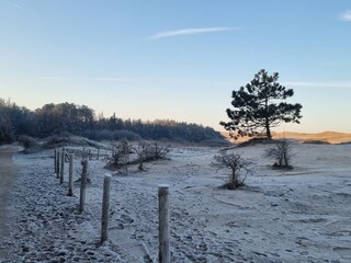 Vakantieappartement Petten Omgeving 23