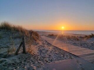 Vakantieappartement Petten Omgeving 24