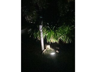 Casa per le vacanze Bo Phut Registrazione all'aperto 14