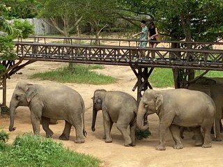 Casa per le vacanze Bo Phut Ambiente 29