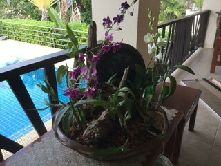 Casa per le vacanze Bo Phut Registrazione all'aperto 10