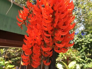 Casa per le vacanze Bo Phut Ambiente 27