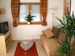 Appartement Mittersill Kenmerken 3