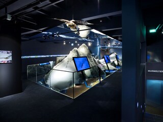 Appartamento Mittersill Ambiente 12