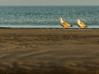 Appartamento per vacanze Buren Ambiente 20