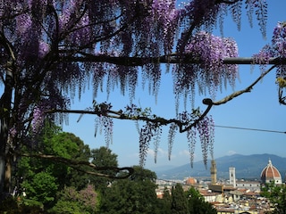 Unser Ausflugstipp: Florenz