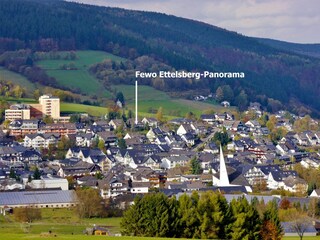 Blick vom Ettelsberg auf Willingen /die fewo