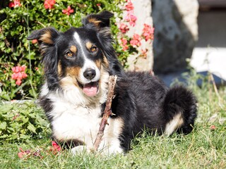 Casa per le vacanze Partschins Ambiente 30