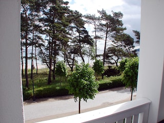 Blick vom Balkon