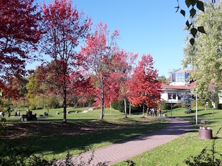 Der Kurpark im Herbstkleid