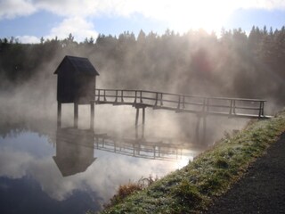 Morgenstimmung in Hahnenklee