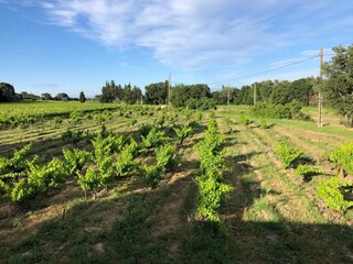 Villa Saint-Geniès-de-Comolas Environnement 34