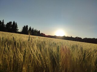 Villa Saint-Geniès-de-Comolas Environnement 22