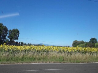 Villa Saint-Geniès-de-Comolas Environnement 23