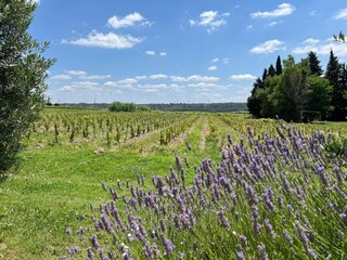 Villa Saint-Geniès-de-Comolas Environnement 27