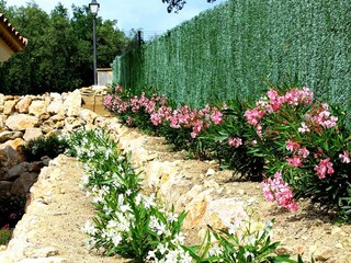 Villa Platja d'Aro Grabación al aire libre 16