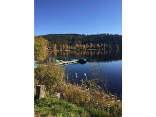 Windgefällweiher ( 6 Autominuten)