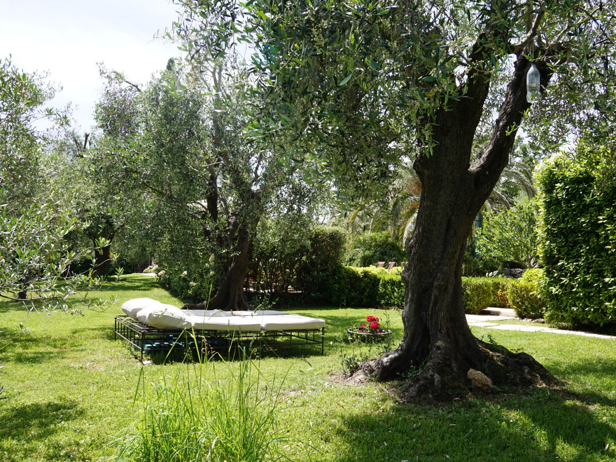 Dopelbett im Shatten der Olivenbaüme