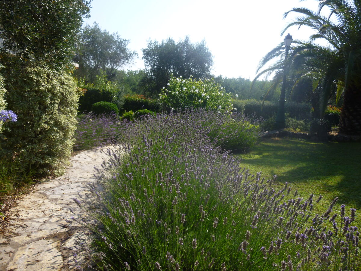 Garten im Duft von Lavendel