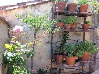 Casa per le vacanze Le Barroux Caratteristiche 21