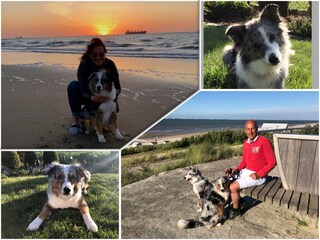 Casa per le vacanze Breskens Caratteristiche 28